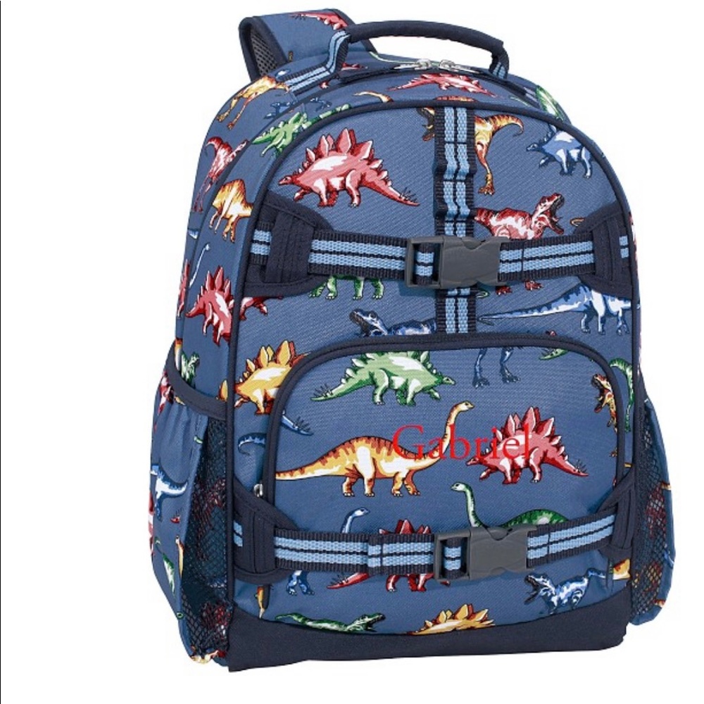 Pottery Barn Dinosaur Book bag and Lunchbox